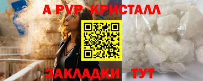 индика Дубна