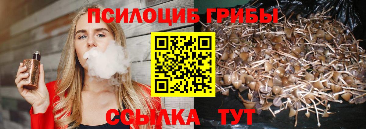 Псилоцибиновые грибы Magic Shrooms Лениногорск