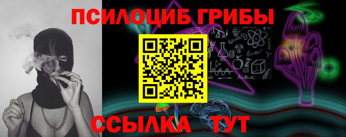 Псилоцибиновые грибы Magic Shrooms  Псилоцибиновые грибы MAGIC MUSHROOMS  Лениногорск  Вход с VPN 