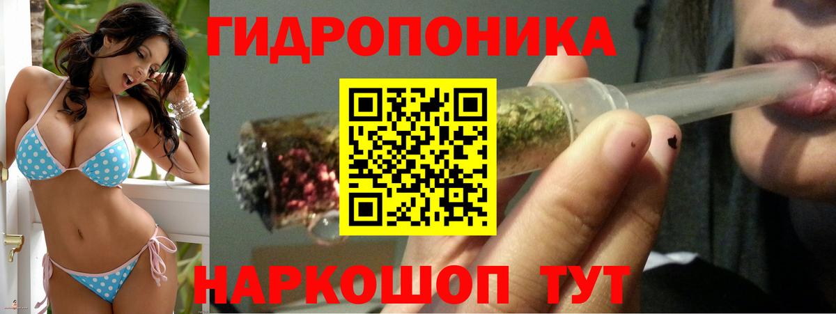 Шишки марихуана Ganja  Вход с VPN  Бошки Шишки ГИДРОПОН  Бошки марихуана тримм  Лениногорск 